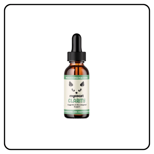 CBD Dog Health - MycoCat Clarity_ Cognitive & Neurological Support