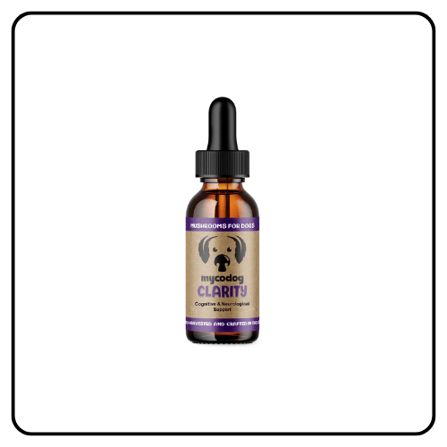 CBD Dog Health - MycoDog Clarity_ Cognitive & Neurological Support