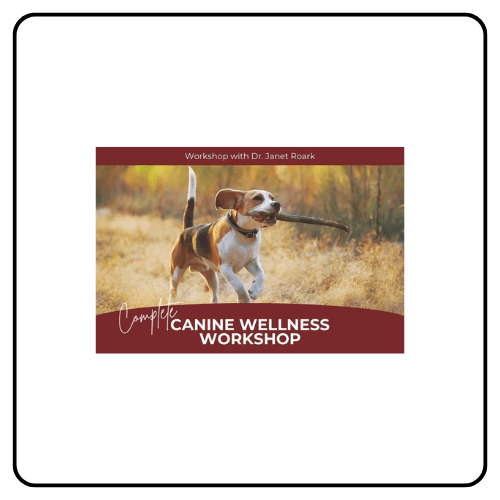 Dr. Janet Roark Dog Wellness Workshop