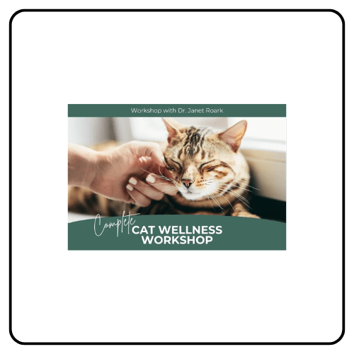 Dr. Janet Roark Feline Wellness Workshop