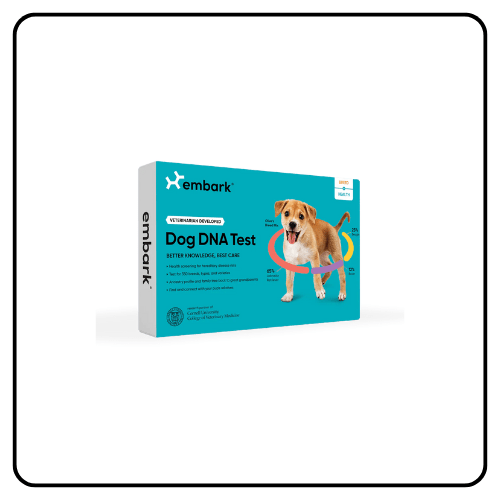 Embark Breed + Health Dog DNA Test