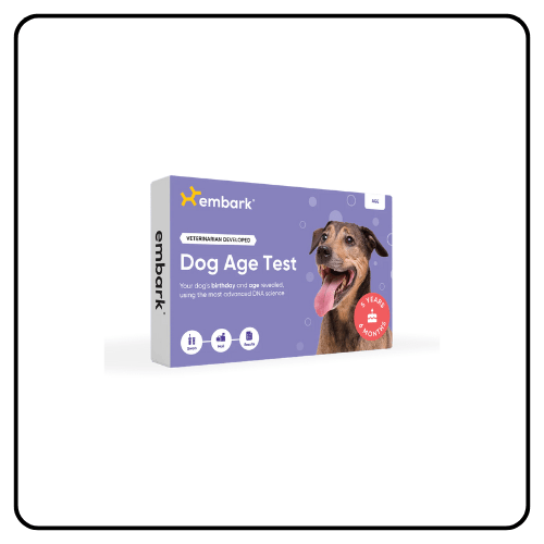 Embark Dog Age Test