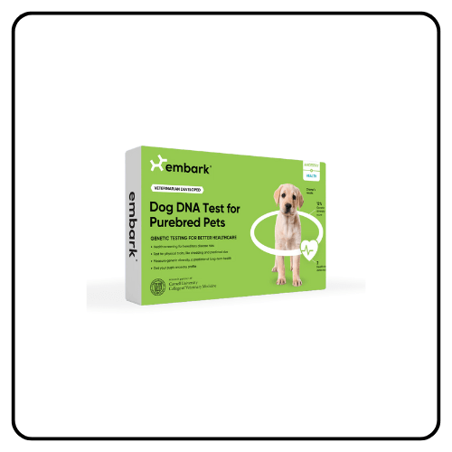 Embark Purebred Dog DNA Test