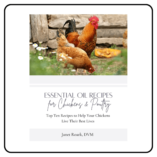 Essential Oil Vet - Essential Oil Recipes for Chickens & Poultry