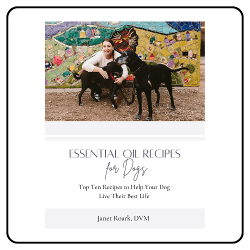 Essential Oil Vet Essential Oil Recipes for Dogs