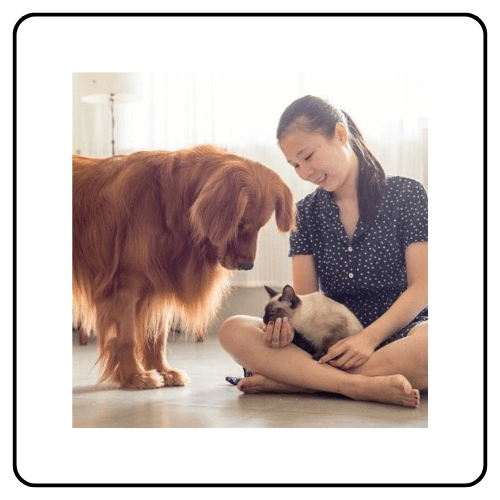 Introducing a New Pet into Your Home