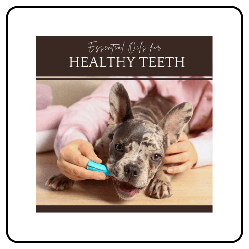 Essential Oil Vet healthy teeth