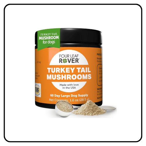 Four Leaf Rover - Turkey Tail Mushrooms