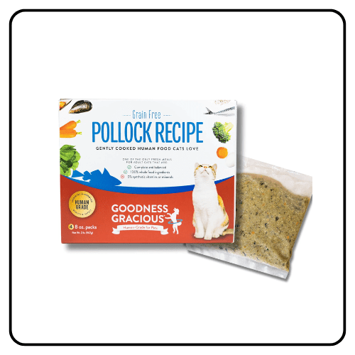 Goodness Gracious - Fresh Food for Cats