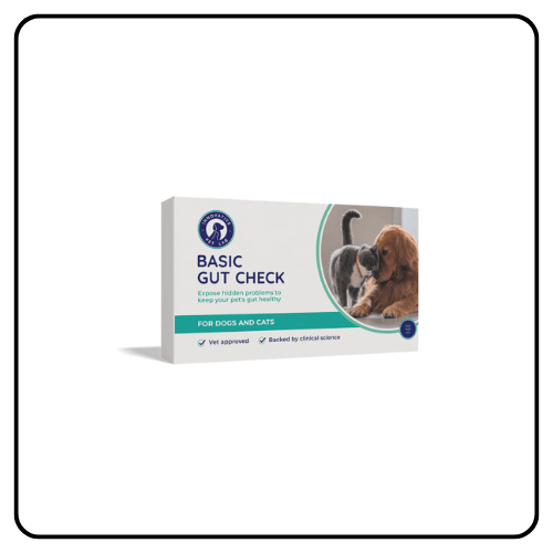 IPL - Basic Gut Check For Cats and Dogs
