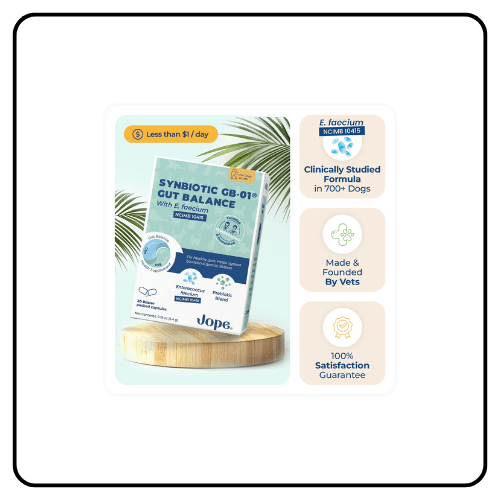 Jope - Synbiotic GB-01 - Gut Balance