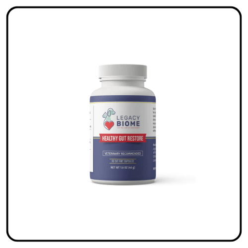 Legacy Biome - FMT Cats