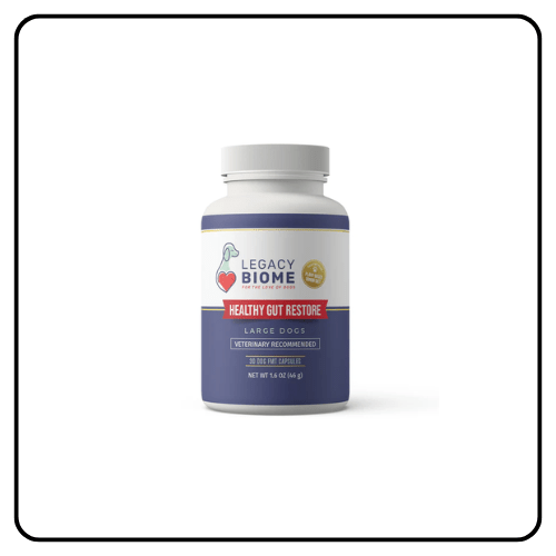 Legacy Biome - FMT Dogs