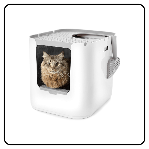Modkat XL Litter Box: Large, Top/Front Entry, Low Tracking | The ...