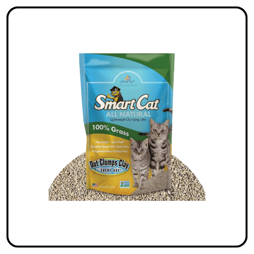 Pioneer Pet - Smart Cat Grass Litter