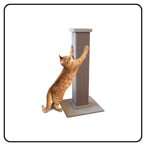 Pioneer Pet - Ultimate Scratching Post