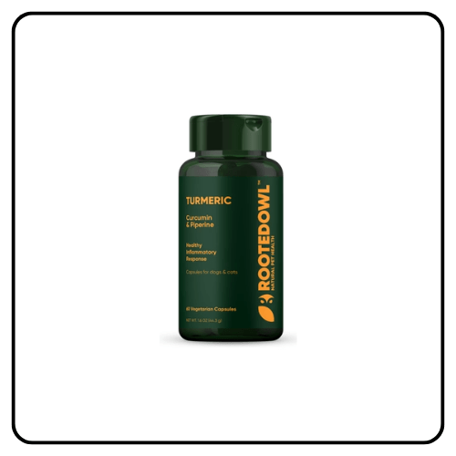 Rooted Owl Turmeric For Cats + Dogs