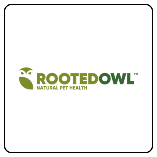 Rooted Owl
