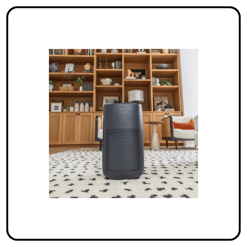 Sans Air Purifier