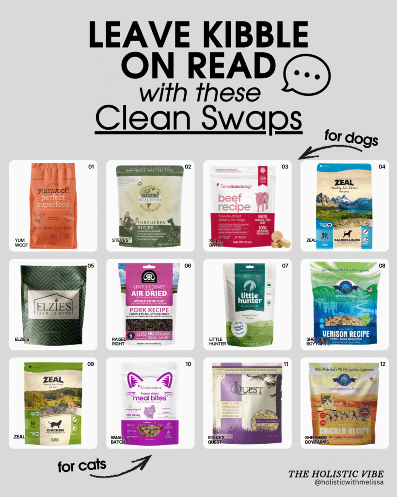 Leave Kibble on Read with These Easy and Clean Swaps