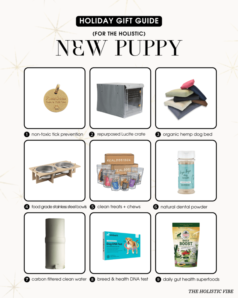 2025 Holiday Gift Guide - New Puppy