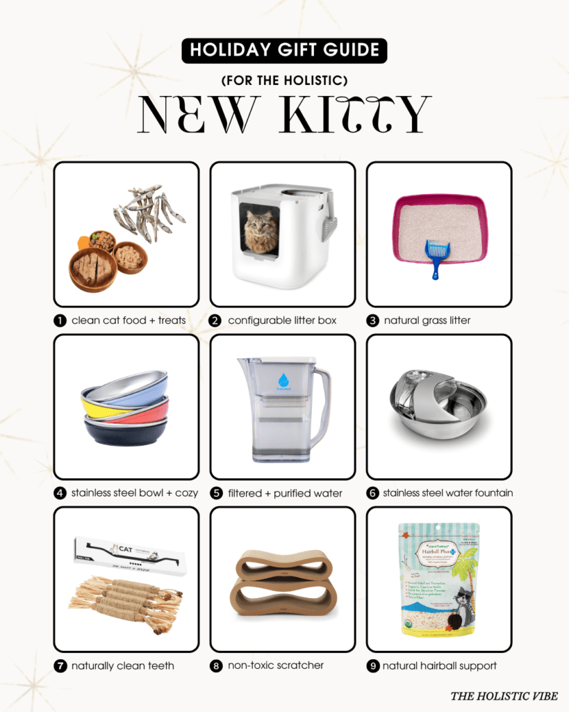 2025 Holiday Gift Guide - New Kitten