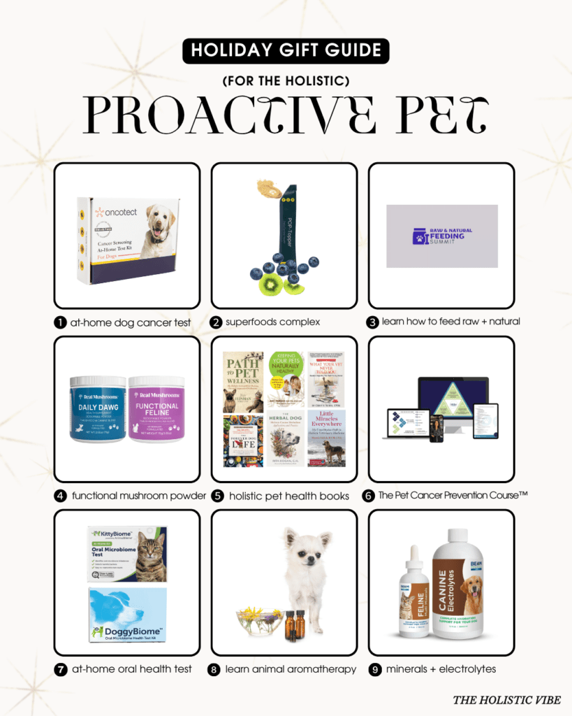 2025 Holiday Gift Guide - Proactive Pet