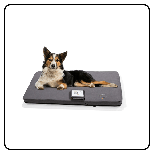 Assisi Loop Lounge System