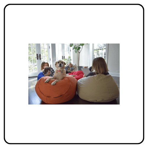 Bean Products Organic Bean Bag Furniture