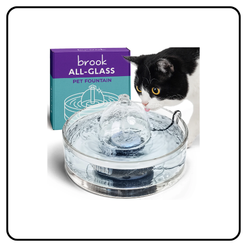 Brook All Glass Pet Fountain