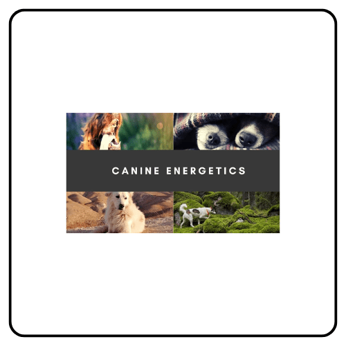 Canine Herbalism - Canine Energetics Course