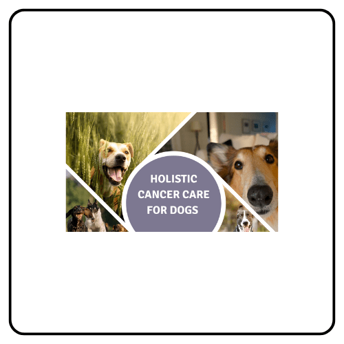 Canine Herbalism - Holistic Canine Cancer Prevention and Care Training