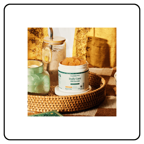Charlotte's Web - Daily Care THC-Free CBD Gummies Bundle