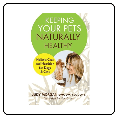 Dr. Judy Morgan Keeping Your Pets Naturally Healthy Holistic Care and Nutrition for Dogs & Cats