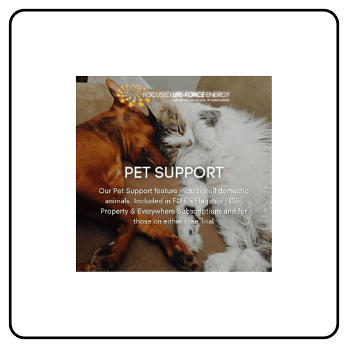 Focused Life-Force Energy Subscription