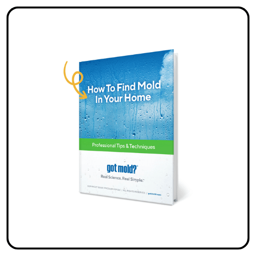 Got Mold? FREE Comprehensive Guide