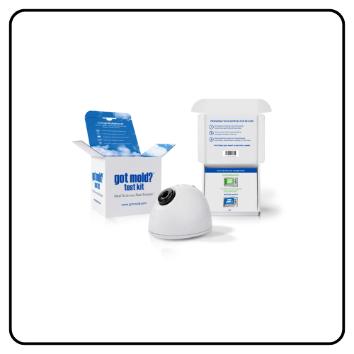 Got Mold? Test Kit
