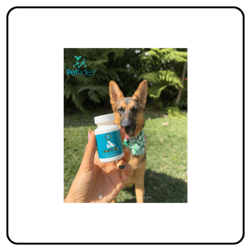 Integrative Peptides for Pets