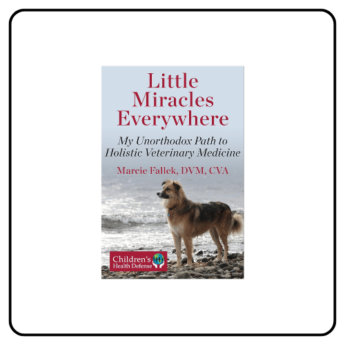 Little Miracles Everywhere_ My Unorthodox Path to Holistic Veterinary Medicine by Marcie Fallek