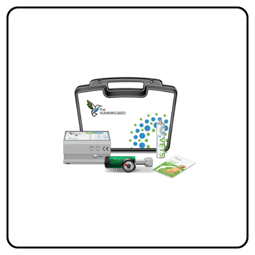 O3 Pets_ The Hummingbird Kit