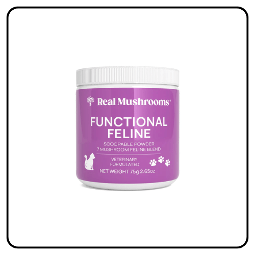 Real Mushrooms - Functional Feline Powder for Cats