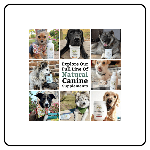 Wholistic Pet Organics - Canine