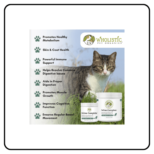 Wholistic Pet Organics - Feline