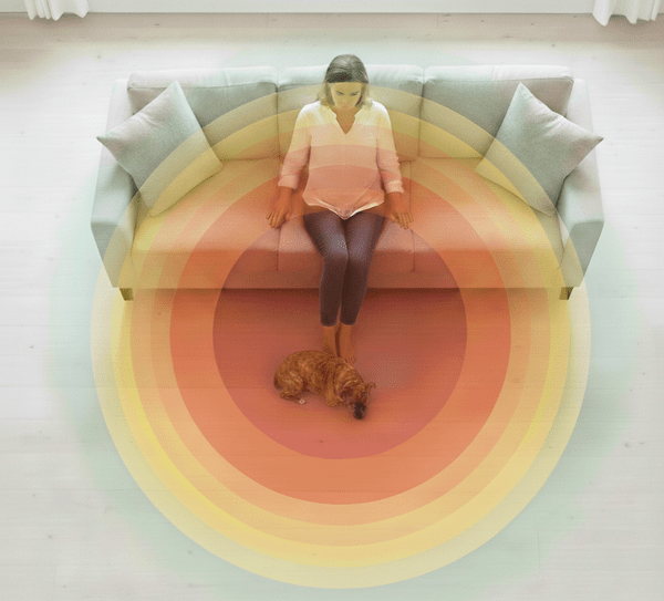 Top-down view of 10-foot heart field feedback loop between human and pet sitting on a sofa, illustrating systemic coherence and the mirror effect.