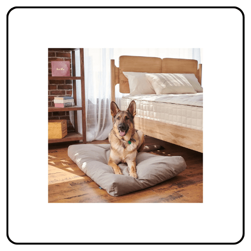Organic cotton and wool dog bed by Naturepedic on a linen background, showcasing non-toxic, breathable materials for a healthy pet ecosystem.
