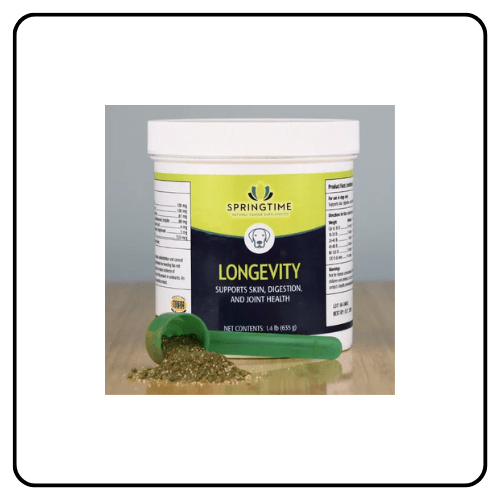A container of Longevity dog supplement powder next to a healthy, active dog, illustrating a proactive approach to pet wellness and vitality.