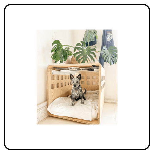 Minimalist Fable Signature Dog Crate in Signature Ash finish styled as a modern living room side table with a pet resting inside.
