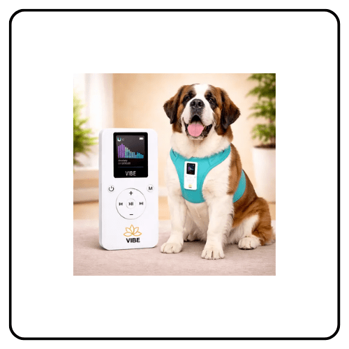 Resona Health Dog Vibe Vest Bundle, featuring a dog wearing the custom wellness harness that securely holds the portable VIBE PEMF therapy device for non-invasive full-body support.