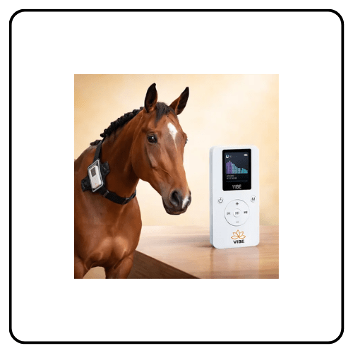 VIBE and EquiVibe PEMF frequency therapy device bundle, showcasing the compact portable wellness device and adjustable equine neck band used for supporting pet and horse vitality.