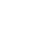 The Holistic Vibe logo: Holistic wellness and Quantum Nutrition Testing for humans and pets.